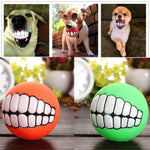 Honden met grappige bal in bek