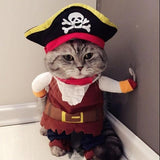 grappige kattenkostuum piraat