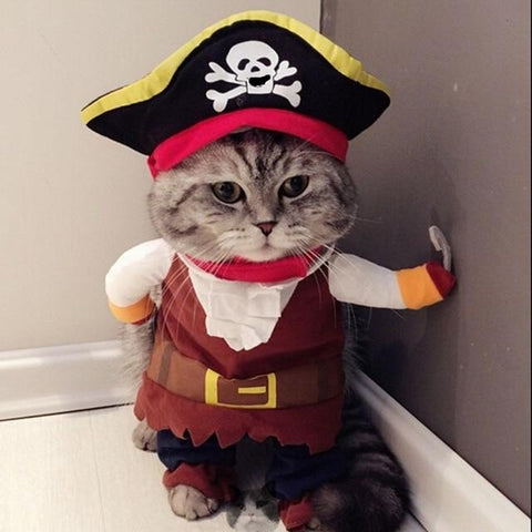 grappige kattenkostuum piraat
