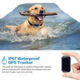 Honden halsband met GPS tracker