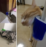 Kattenborstel met Kattenkruid - Kattenspullen